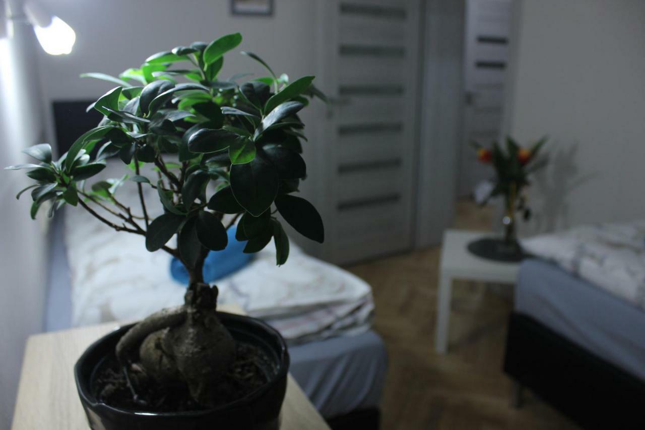 Kotlarska Apartment Wroclaw Bagian luar foto